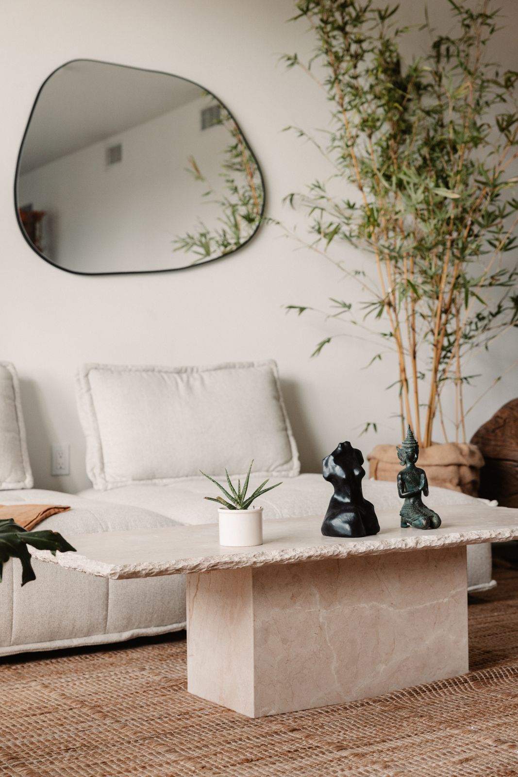 miroir mirna