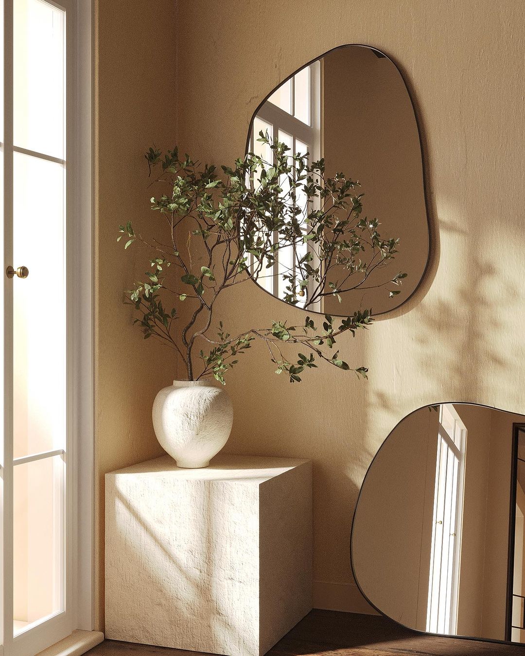 miroir mirna