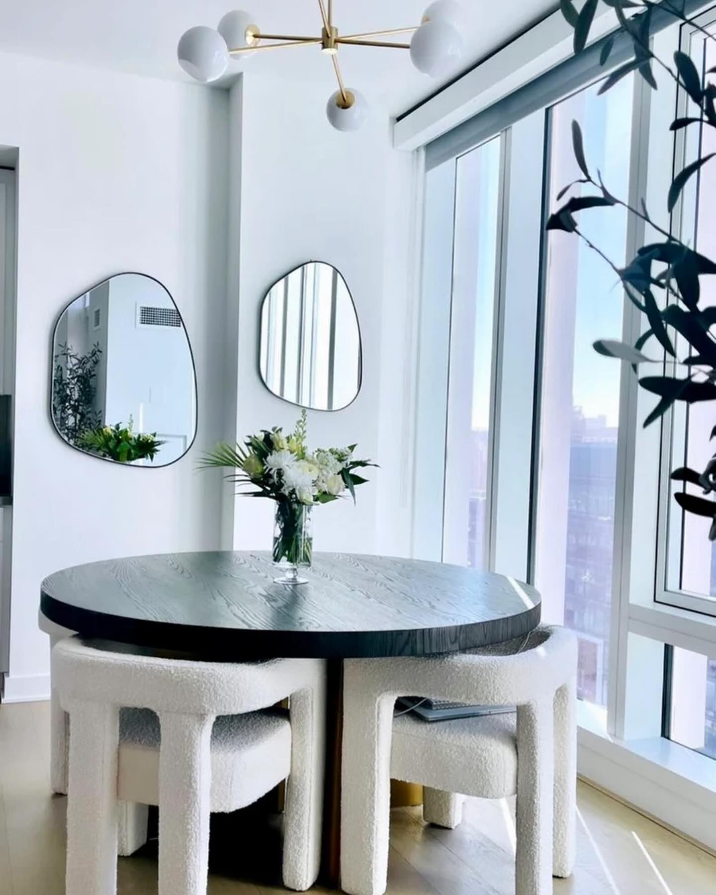 miroir mirna